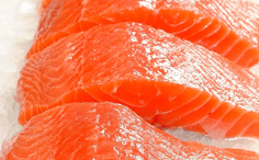 Salmon Fillets